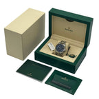 Rolex Sky-Dweller “Blue Dial” 326934-0003