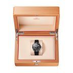 OMEGA Seamaster Diver 300M Aluminum Bezel 42mm - Black on Rubber Strap