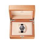 OMEGA Seamaster Planet Ocean 600M 42mm - Black on Rubber Strap